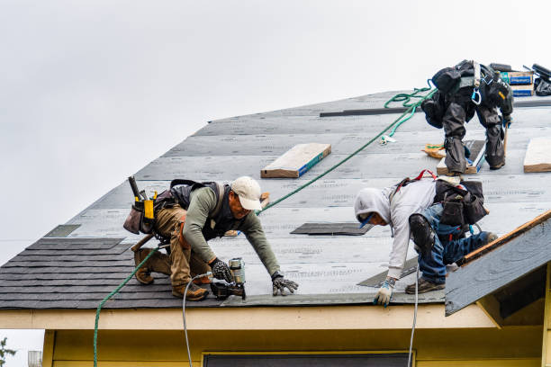 Professional Roofing technician working in Portage, WI